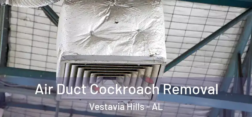  Air Duct Cockroach Removal Vestavia Hills - AL