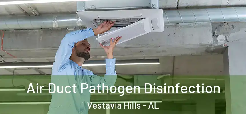  Air Duct Pathogen Disinfection Vestavia Hills - AL