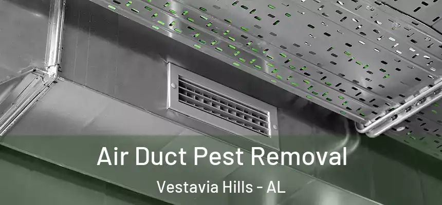  Air Duct Pest Removal Vestavia Hills - AL