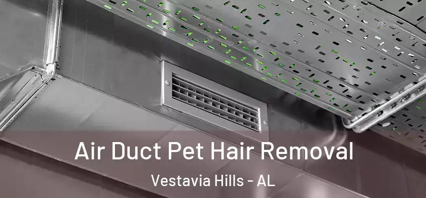  Air Duct Pet Hair Removal Vestavia Hills - AL