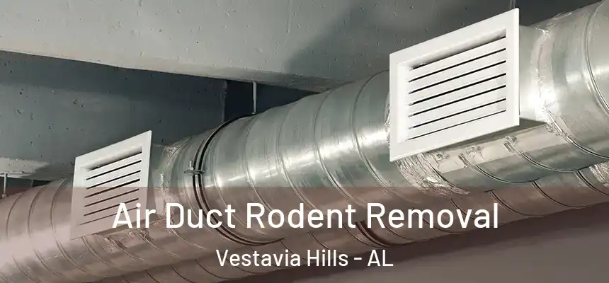 Air Duct Rodent Removal Vestavia Hills - AL