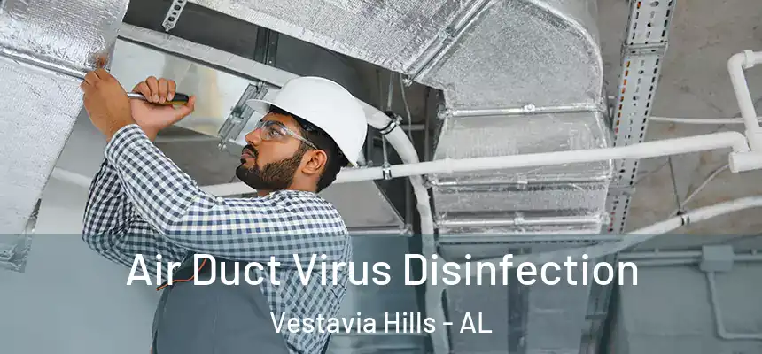  Air Duct Virus Disinfection Vestavia Hills - AL