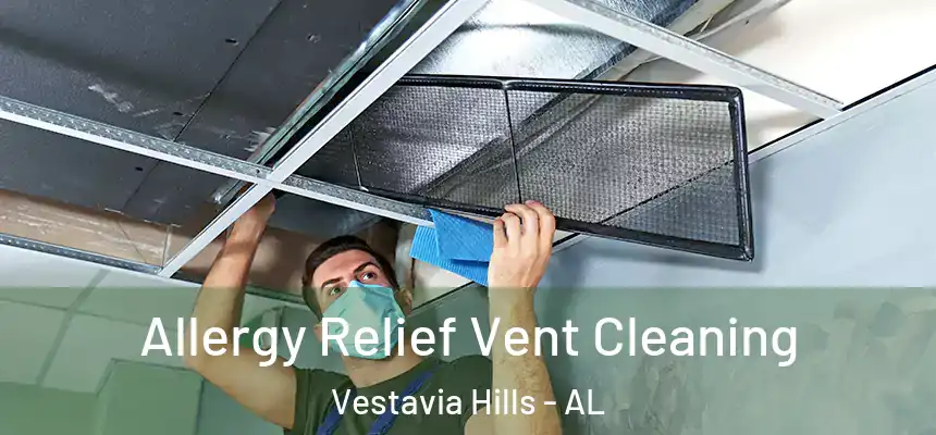  Allergy Relief Vent Cleaning Vestavia Hills - AL
