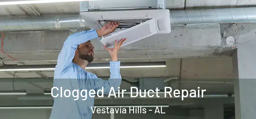  Clogged Air Duct Repair Vestavia Hills - AL