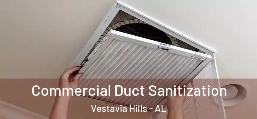  Commercial Duct Sanitization Vestavia Hills - AL