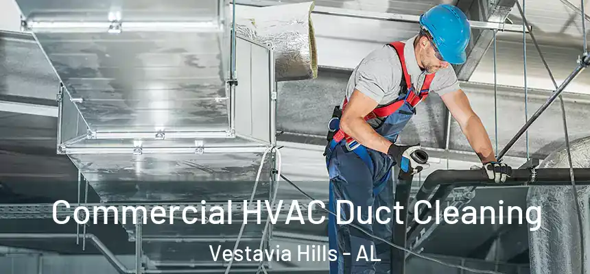  Commercial HVAC Duct Cleaning Vestavia Hills - AL