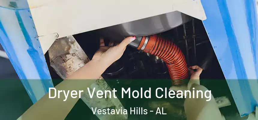  Dryer Vent Mold Cleaning Vestavia Hills - AL