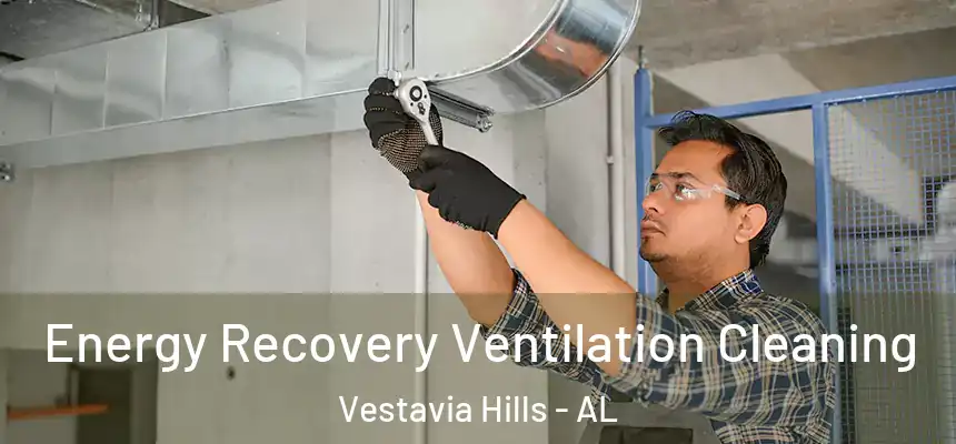 Energy Recovery Ventilation Cleaning Vestavia Hills - AL