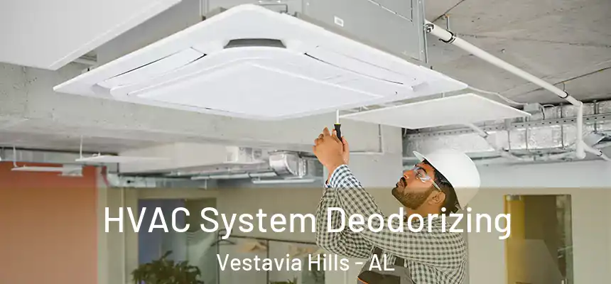  HVAC System Deodorizing Vestavia Hills - AL