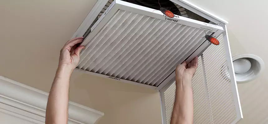 Preventive Cockroach-Proofing for Ducts in Vestavia Hills