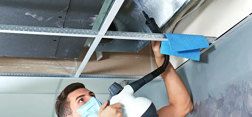 Our Air Duct Rodent Removal Services in Vestavia Hills, AL