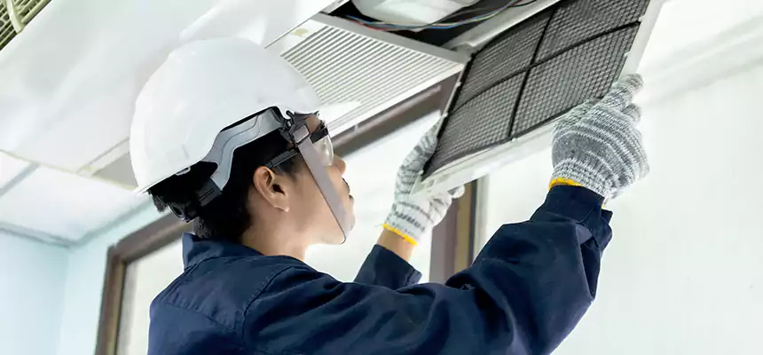 Our Mold & Mildew Removal from Air Ducts Services in Vestavia Hills, AL