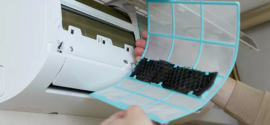 Gentle Ductwork Odor-Control Pet Dander Duct Cleaning in Vestavia Hills, AL