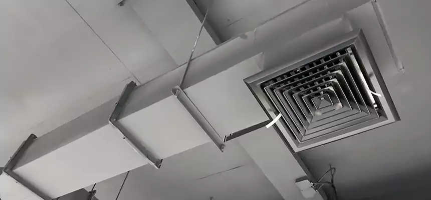 Our Rodent Droppings In Vents Services in Vestavia Hills, AL