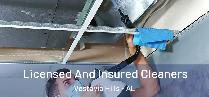  Licensed And Insured Cleaners Vestavia Hills - AL