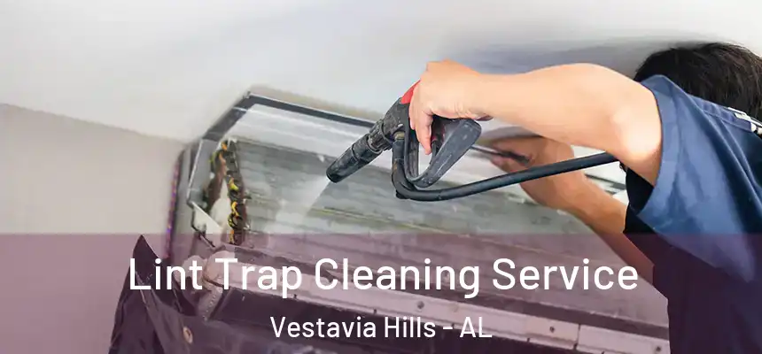 Lint Trap Cleaning Service Vestavia Hills - AL