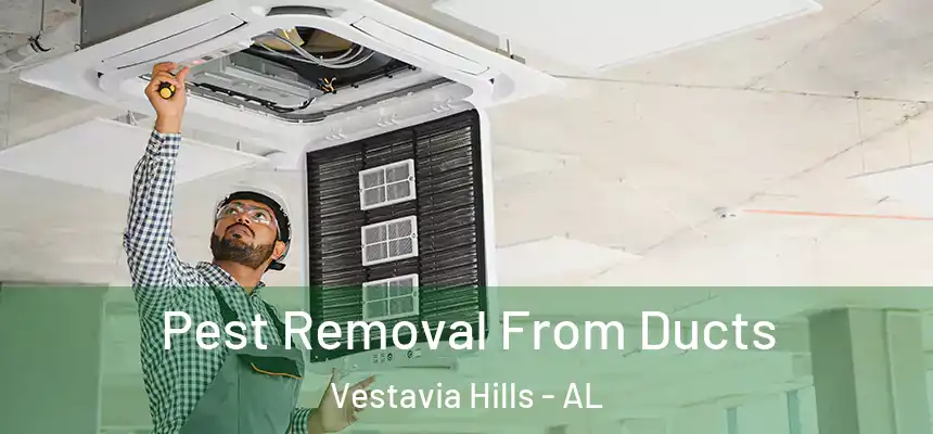  Pest Removal From Ducts Vestavia Hills - AL