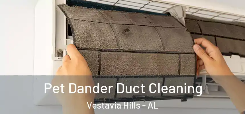  Pet Dander Duct Cleaning Vestavia Hills - AL