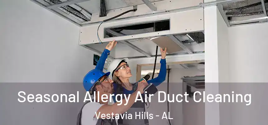  Seasonal Allergy Air Duct Cleaning Vestavia Hills - AL