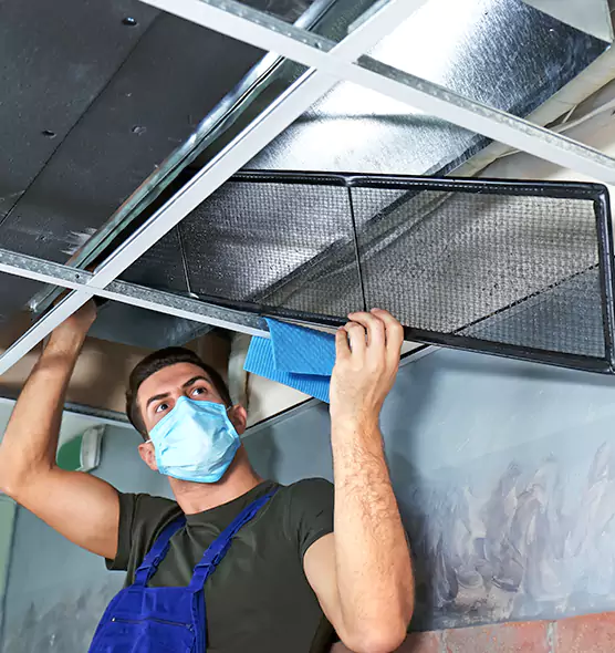 Professional Air Duct Pollen Cleaning in Vestavia Hills, AL