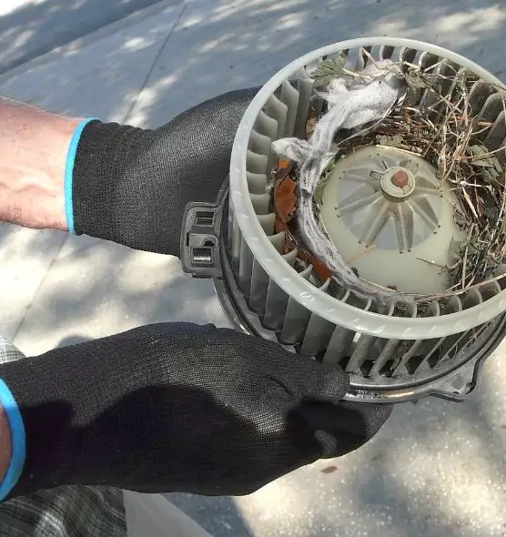 About Air Duct Rat Removal in Vestavia Hills, AL