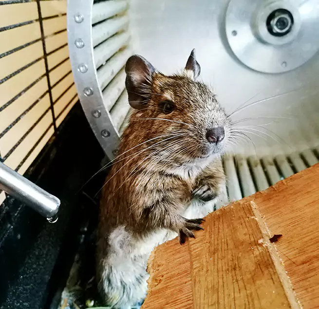 Why Homeowners & Businesses Trust Us Vestavia Hills, AL