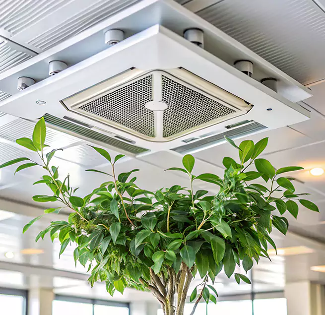 Why Homeowners & Businesses Trust Us in Vestavia Hills, AL?