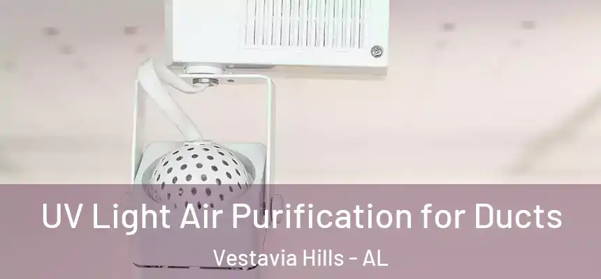  UV Light Air Purification for Ducts Vestavia Hills - AL